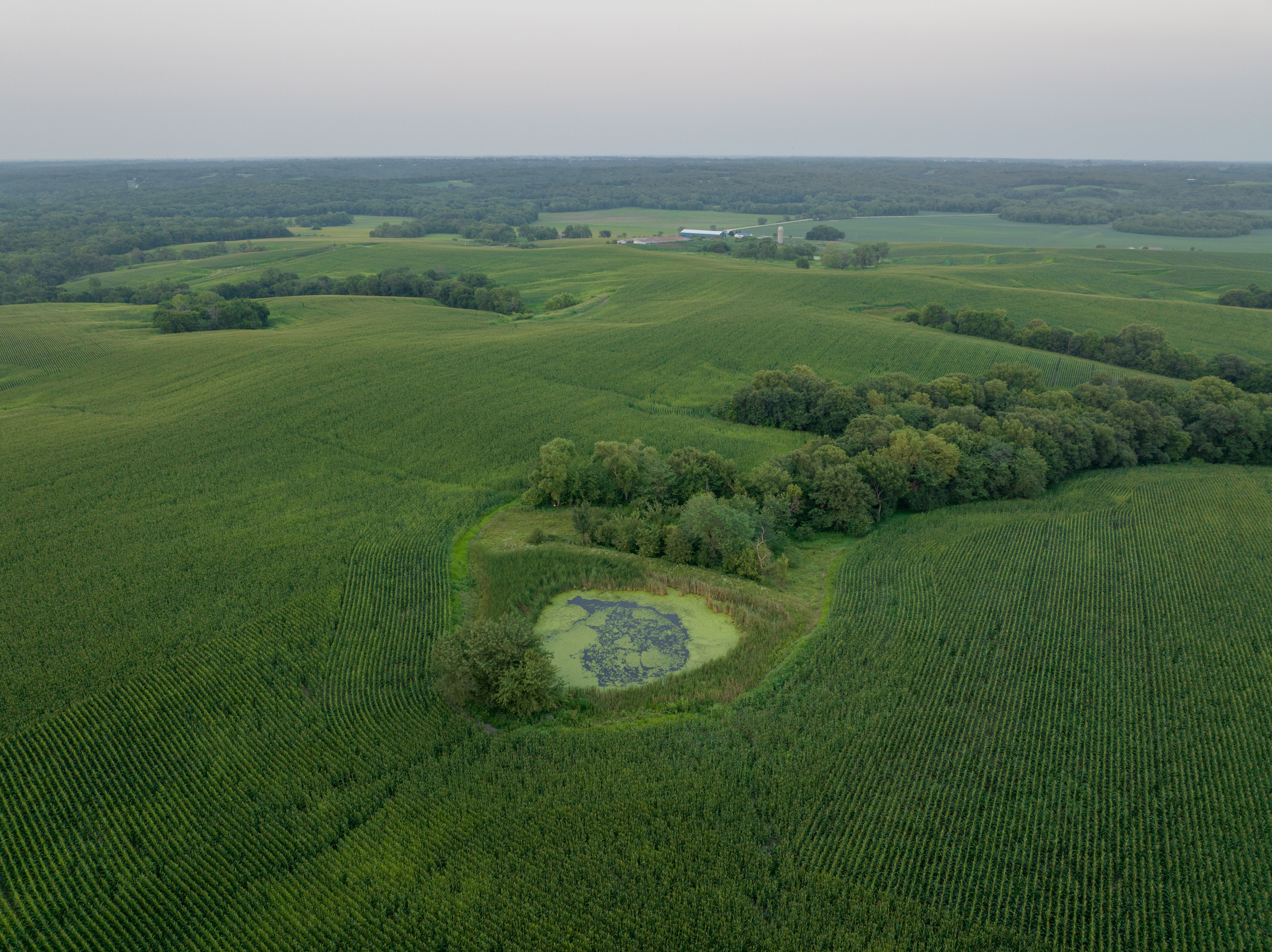 Listing Photo: Lovila Land-7
